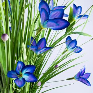 Okrasná tráva zväzok modré kvety 70 cm