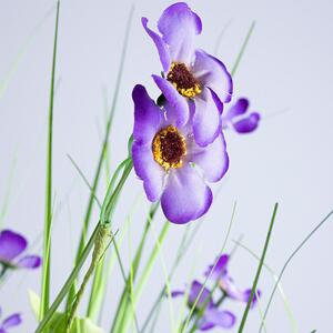 Okrasná tráva zväzok, fialové kvety 70 cm