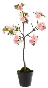 Dekorácie umelý ružový kvitnúce stromček Blossom - 20 * 20 * 50 cm - J-Line by Jolipa