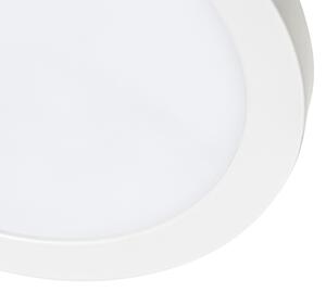 Zapustené alebo prisadené bodové biele 30 cm vrátane LED 3 stupne stmievanie až teplé - Trans