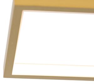 Stropné svietidlo zlaté vrátane LED 3-stupňové stmievateľné 4-svetlo - Lejo
