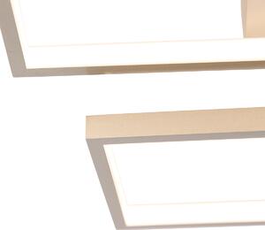 Stropné oceľové svietidlo vrátane LED 3 stupňové stmievateľné 4-svetlo - Lejo