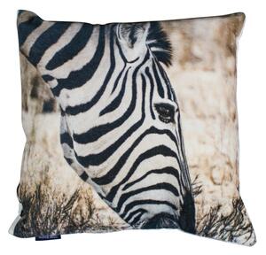 Zamatový vankúš Zebra - 45 * 45 * 10cm - Mars & More