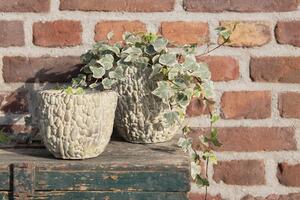 Cementový kvetináč so vzorom M - Ø 17*15 cm - Clayre & Eef