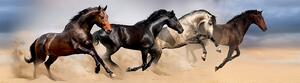 Samolepiaca bordúra Wild Horses, 500 x 14 cm