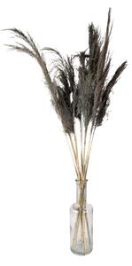 Šedá kytica sušené kvety bambusu Bamboo - 100 cm (10ks) - Clayre & Eef