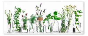 Obraz Styler Glasspik Herbs, 30 × 80 cm