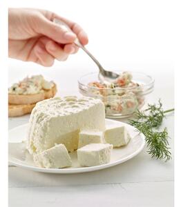 Bielo-zelená silikónová miska na prípravu domáceho syra Lékué Cheese