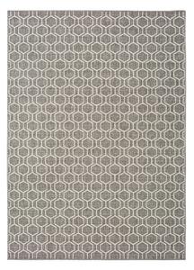 Sivý vonkajší koberec Universal Clhoe, 80 x 150 cm