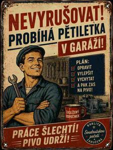 Plechová ceduľa Nevyrušovat! Probíha Petiletka v garáži! - Plechová tabuľa