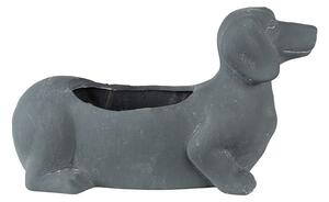 Šedý cementový kvetináč Jazvečík - 30*12*16 cm - Clayre & Eef