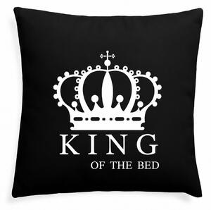 XPOSE® Mikroplyšová obliečka na vankúš KING (digitálna tlač) 40x40 cm