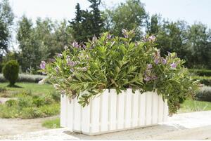 Gardenico Truhlík Fency antracit, 50 x 18,5 cm