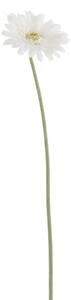 Biela umelá dekoratívna kvetina Gerbera - 10*10*64 cm - J-Line by Jolipa