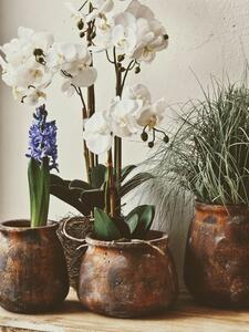 Dekorácia umelá kvetina Orchidea s koreňmi a machom - 23*17*40 cm - J-Line by Jolipa