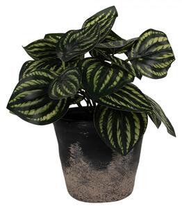 Čierno-sivý keramický obal na kvetináč S - Ø 12*11 cm - Clayre & Eef