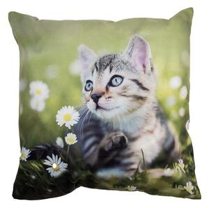 Zelená obliečka na vankúš s mačiatkom na lúke - 45*45 cm - Clayre & Eef