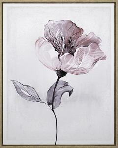 UMELECKÁ TLAČ, kvety, 40/50 cm Monee - Obrazy