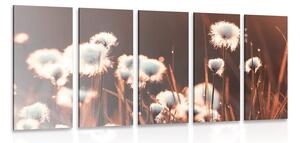 5-dielny obraz bavlnená tráva Varianta: 100x50