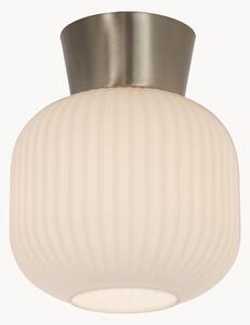 Malá stropná lampa Vanja