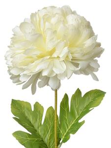 Dekorácia umelá kvetina s bielym kvetom - 15*15*80 cm - Clayre & Eef