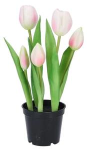 5ks fialový realistický tulipán Tulips v kvetináčiku - 26 cm - daan kromhout