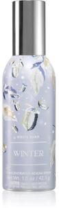 Bath & Body Works Winter bytový sprej 42,5 g