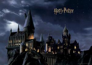 Detská fototapeta Harry Potter 252 x 182 cm, 4 diely