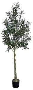 Dekorácia umelý stromček olivovník s olivami Olea Tree - 15*170 cm - Chic Antique