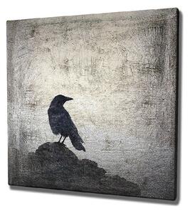 Nástenný obraz na plátne Black Bird, 45 × 45 cm