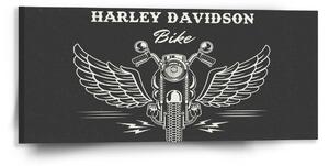 Sablio Obraz Harley-Davidson S krídlami - 110x50 cm