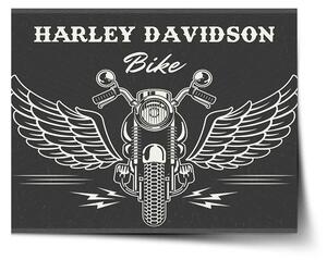 Sablio Plagát Harley-Davidson S krídlami - 60x40 cm