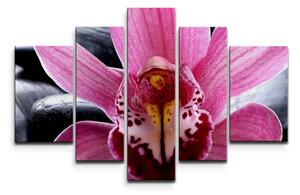 Sablio Obraz - 5-dílný Ružová orchidea - 125x90 cm