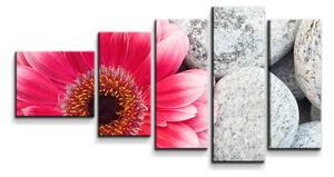 Sablio Obraz - 5-dílný Gerbera na kameňoch - 100x60 cm