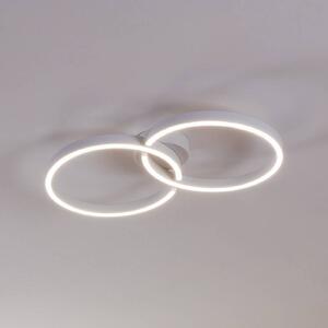 Armandolo LED stropné svietidlo, biele, dĺžka 67 cm, CCT, RGB