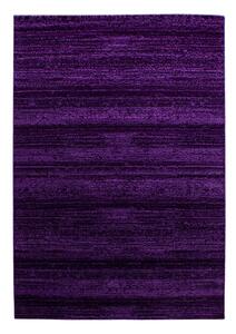 Tmavofialový koberec 160x230 cm Plus – Ayyildiz Carpets