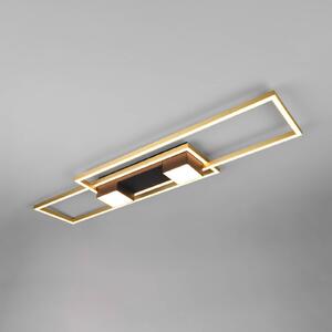 LED stropné svietidlo Albany, čierne/zlaté 100 x 28 cm hliník CCT dim