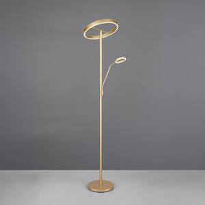 Stojacia lampa Willis LED, zlatá, výška 180 cm, kov, stmievač, Mosadz / zlato, Obývacia izba / jedáleň, kov, Moderný, Zemné bodové svetlo