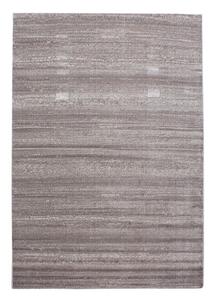Béžový koberec 80x150 cm Plus – Ayyildiz Carpets