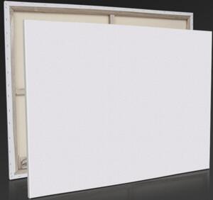 Canvas Maliarske plátno / 90 x 120 x 1,7 cm / 100% bavlna / drevo / biela