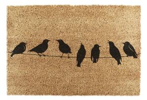 Rohožka z kokosového vlákna 40x60 cm Birds On a Wire – Artsy Doormats