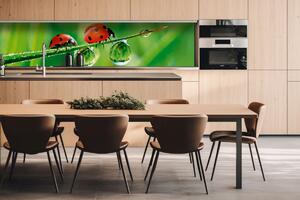 DIMEX | Dibond doska za kuchynskú linku | DBW-26060-015 Lienka | 260 x 60 cm