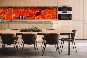 DIMEX | Dibond doska za kuchynskú linku | DBW-26060-059 Gerbera | 260 x 60 cm