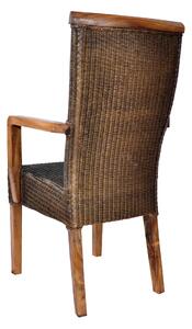 Jedálenská stolička RAMOSA lumut