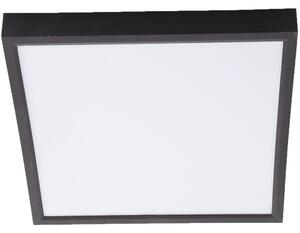 Stropné LED osvetlenie Puccy 17x10 cm, čierne