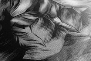 Obraz retro ťahy kvetov v čiernobielom prevedení