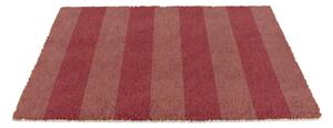 Rohožka z kokosového vlákna 40x60 cm Pink Stripe – Artsy Doormats