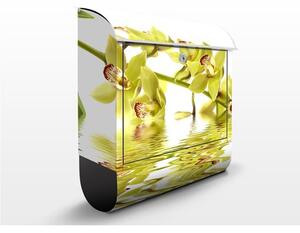 Poštová schránka s potlačou Elegant Orchid Waters