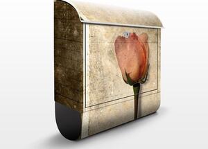 Poštová schránka s potlačou Retro ruže