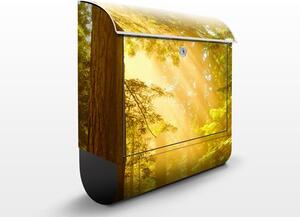 Poštová schránka s potlačou Okouzující ráno v lese